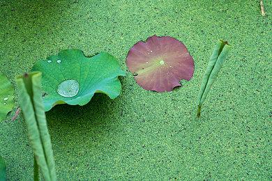 《凯蒂猫岛屿冒险》现已发售 游戏上市宣传片欣赏